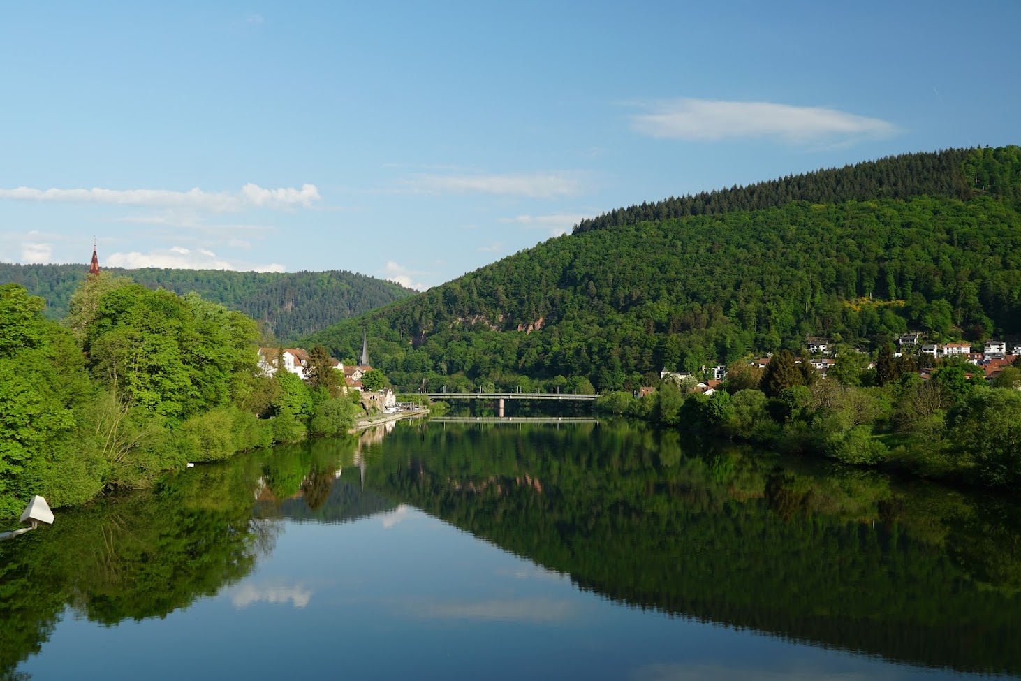 Neckar mit Brücke