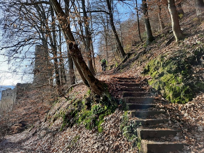 Treppen im Wald