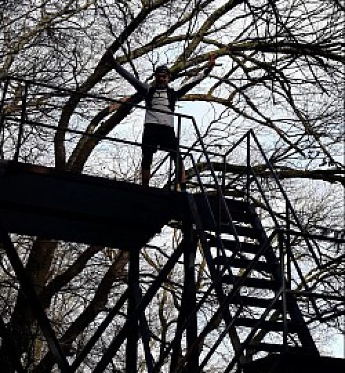 2021 treppe
